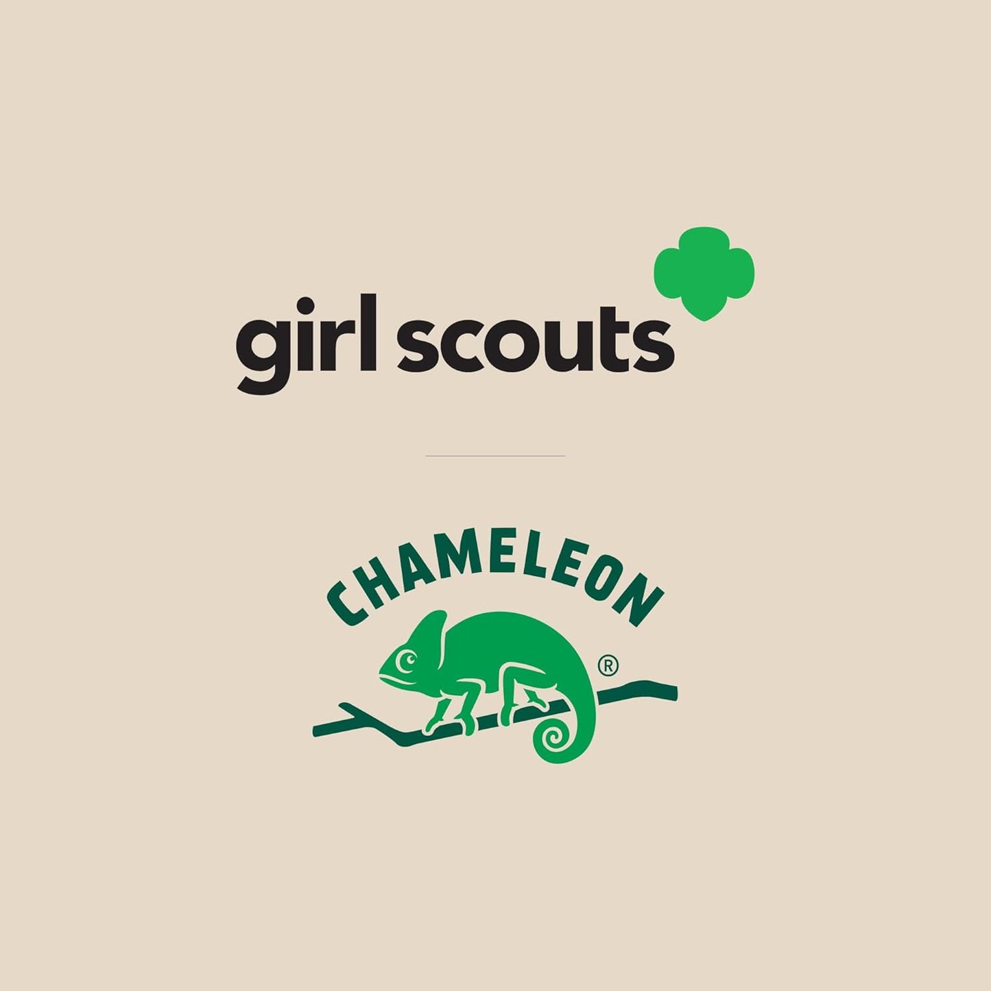 Chameleon Cold Brew Coffee Latte, Girl Scout Thin Mints, 8 oz Canned Coffee (12 pack)