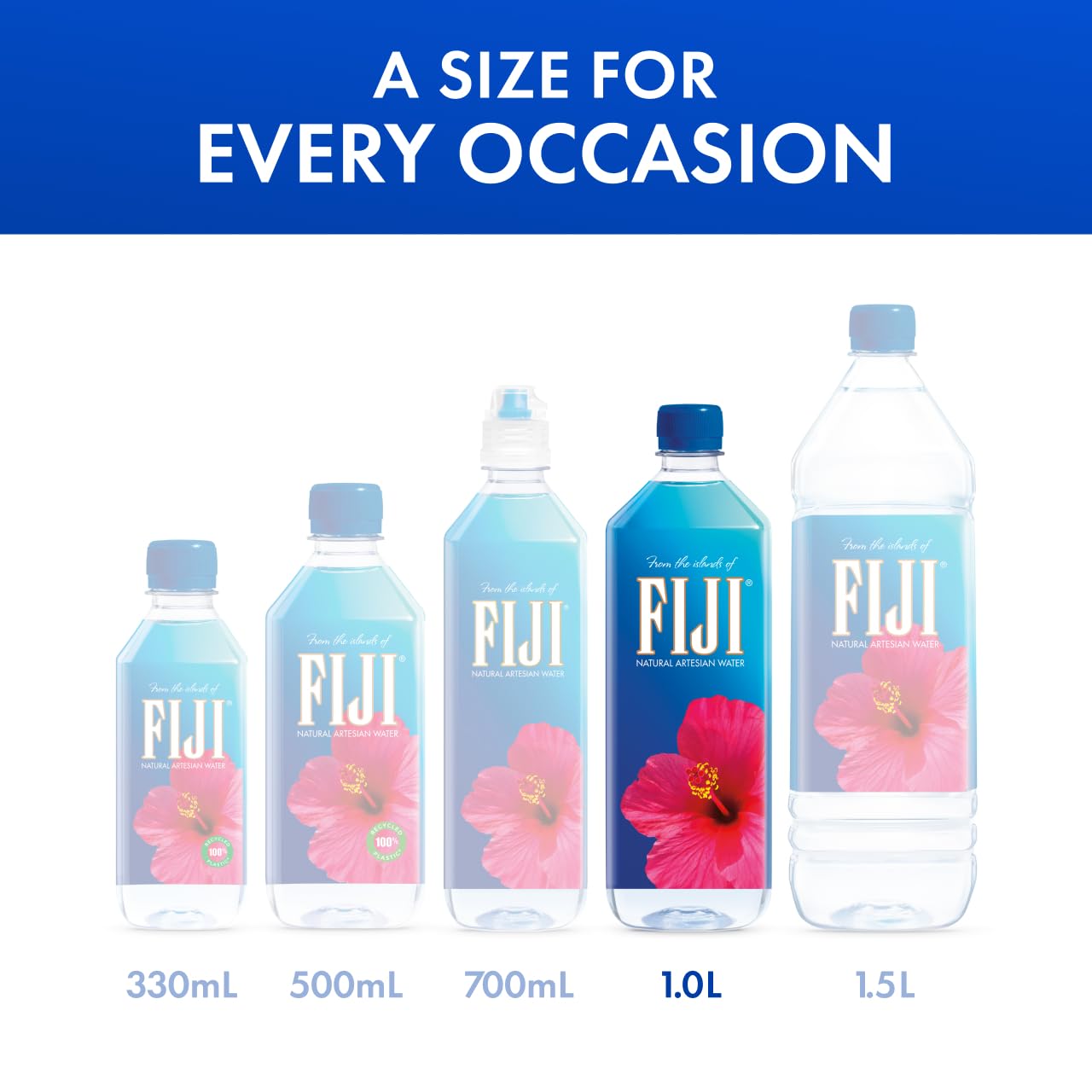 FIJI Natural Artesian Bottled Water 1 Liter / 33.8 Fl Ounce (Pack of 12) - 100% Natural Electrolytes